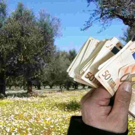 Ανακούφιση για τους αγρότες οι επιδοτήσεις
