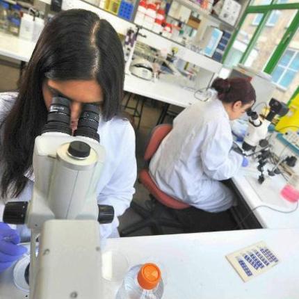 ερευνητρια