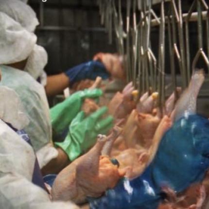 εργατες ηπα