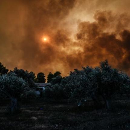 Εύβοια: Συγκλονίζουν τα βίντεο και οι φωτογραφίες από τη θεομηνία