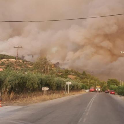 εύβοια φωτιά
