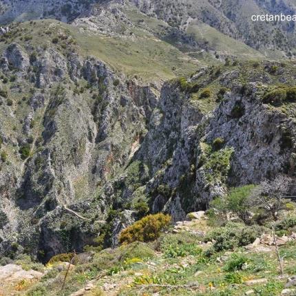 φαραγγι μεσονα_2.jpg