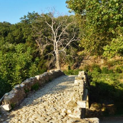 φαράγγι ρίχτη