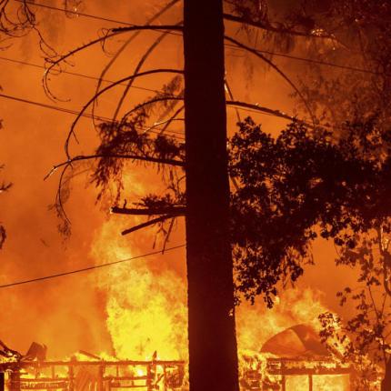 Αλγερία - Πυρκαγιές