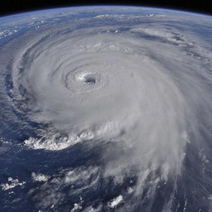 τυφώνας φλόρενς