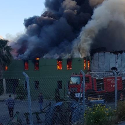 φωτιά Φοινικιά