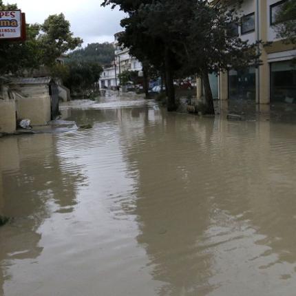 φοινικιά πλημμύρες