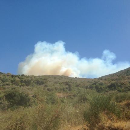 Φωτιά στο Ποικίλο Όρος