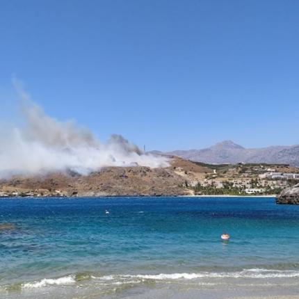 Φωτιά Πλακιάς (Goodnet.gr)