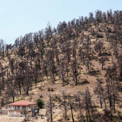 Φωτιά Εύβοια