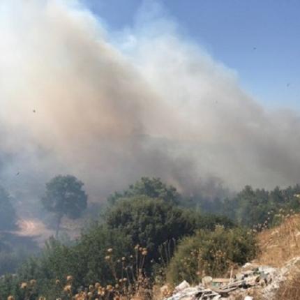 Φωτιά - Κύπρος