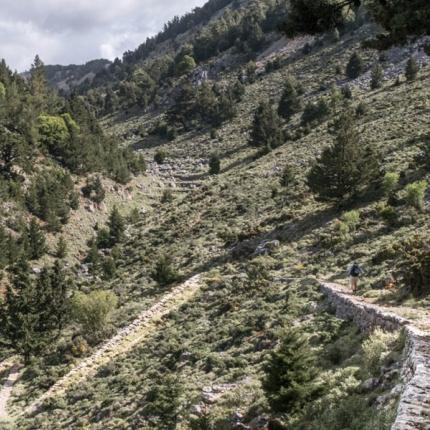 ενετική στράτα