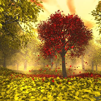 Τα "μερομήνια" του Αυγούστου