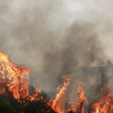 φωτιά χωράφι