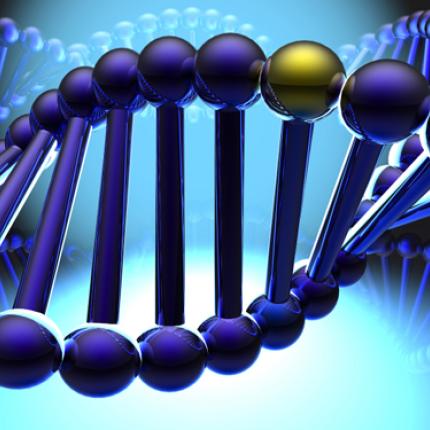 Τα γονίδια κύρια αιτία των καλών επιδόσεων στα Μαθηματικά και την Ανάγνωση 