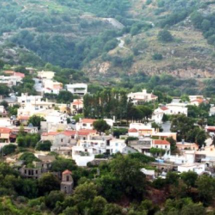 Πως ένας κροκόδειλος φέρνει ... ανάπτυξη στο Δήμο Αμαρίου