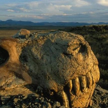 great_death-600-x-450-600x420.jpg