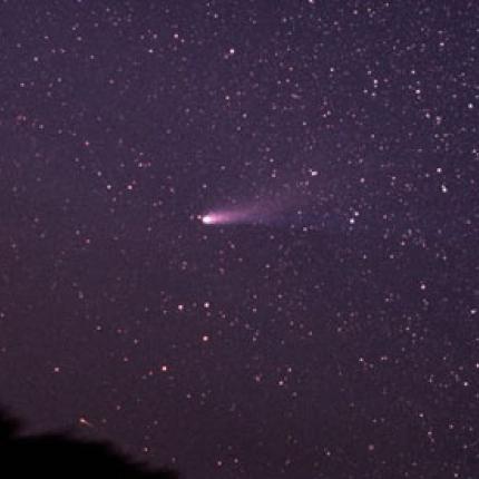 halleys-comet-006.jpg