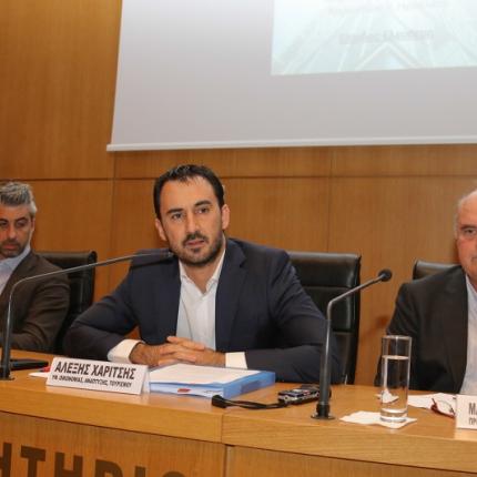 χαρίτσης αναπτυξιακό