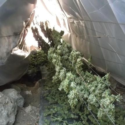 ρέθυμνο κάνναβη