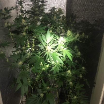 χειροπέδες σε 34χρονο