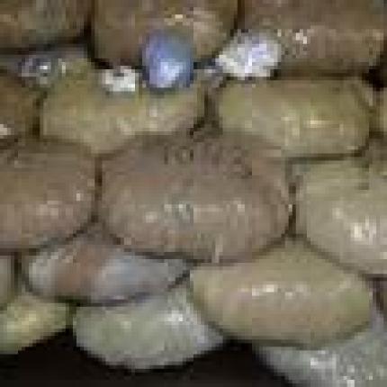 Στα χέρια της ΕΛ.ΑΣ. λαθρέμποροι ναρκωτικών με 322 κιλά χασίς