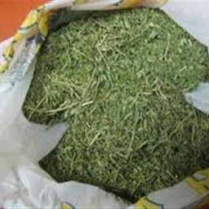 Ηράκλειο: Μισό κιλό χασίς στην κατοχή 24χρονου