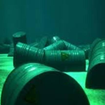 Στη βουλή σήμερα η καταστροφή των χημικών της Συρίας