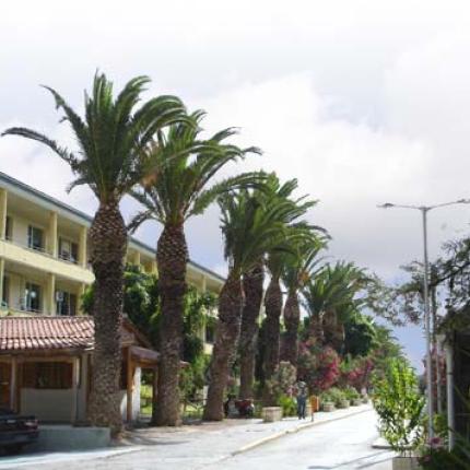 Προβλήματα στην Παιδιατρική του Βενιζελείου, καταγγέλλει το ΚΚΕ