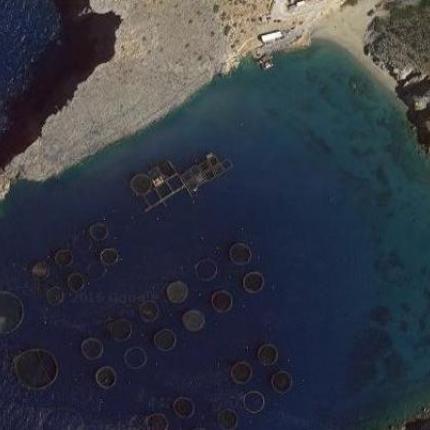 ιχθυοκαλλιέργεια σητείας