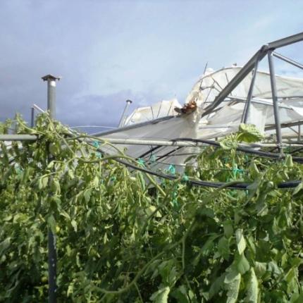 "Τα πήρε και τα σήκωσε" ο ανεμοστρόβιλος τα θερμοκήπια στην Ιεράπετρα 