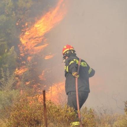 Υπό μερικό έλεγχο η πυρκαγιά στον Κουτσουρά  - Ζημιές στο δίκτυο ύδρευσης της περιοχής