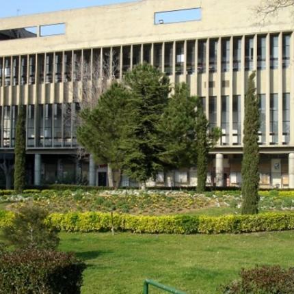 Οι απόφοιτοι του τμήματος Πληροφορικής στο Αριστοτέλειο, δεν γνωρίζουν τη λέξη "ανεργία"