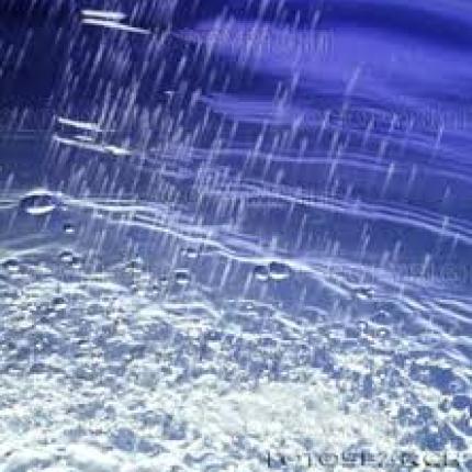 Δύο νεκροί από πυροβολισμούς στην πανεπιστημιούπολη της Νότιας Καρολίνας