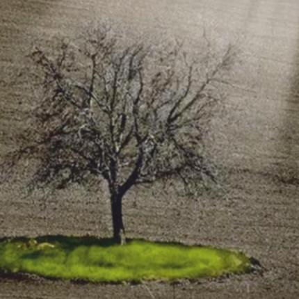 Τρόποι αντιμετώπισης της αυτοκτονίας - Ημερίδα από την Περιφέρεια Κρήτης