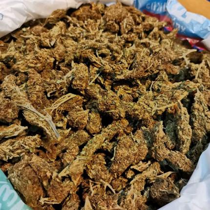 Βρέθηκαν στο σπίτι του 785 γραμμάρια κάνναβης