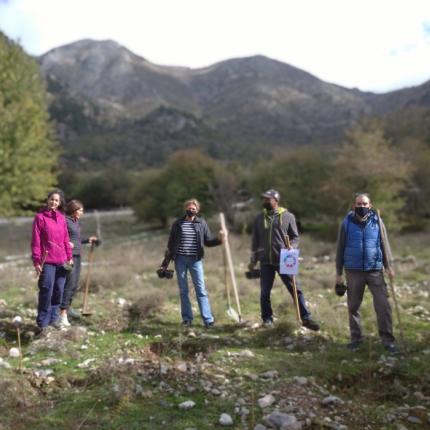 δενδροφυτευση