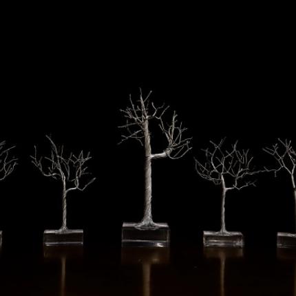 ταινία μικρού μήκους