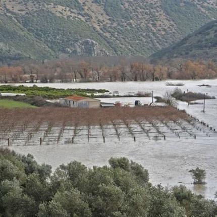 Έκτακτη σύσκεψη για να αποζημιωθούν οι πληγέντες γεωργοί - κτηνοτρόφοι