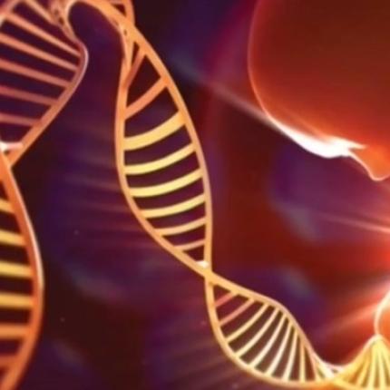 γονίδια γκέι