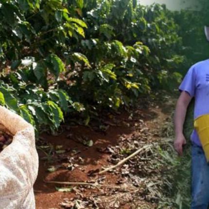 καφες - κολομβια