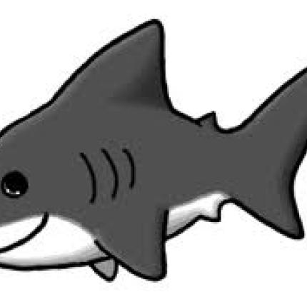 Λασίθι: Έπεσε σε αγέλη με καρχαριάκια (φωτογραφία)