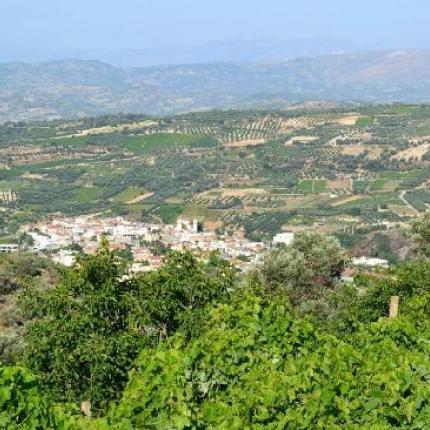 Νέα έργα στα Κεράσια