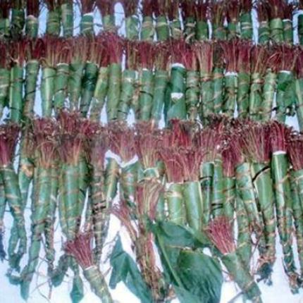 Μεγάλη ποσότητα ναρκωτικών ουσιών στο "Ελ. Βενιζέλος"