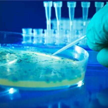 Ανακαλύφθηκε η πρώτη "κλειδαριά ασφαλείας" για γενετικά τροποποιημένους οργανισμούς