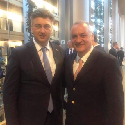 κεφαλογιάννης πλέκνοβιτς