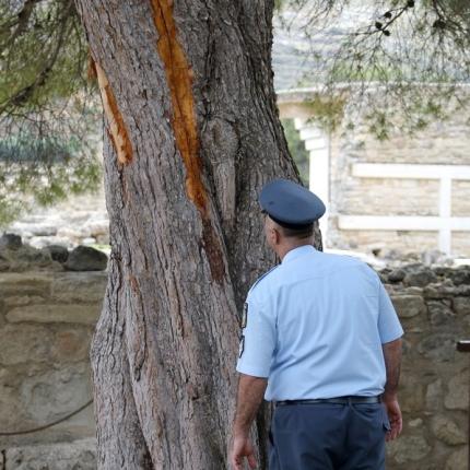 κνωσσος