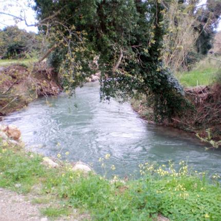 κοιλιάρης ποταμός