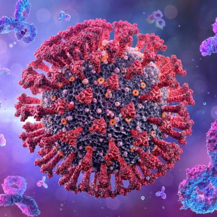 Φωτό αρχείου