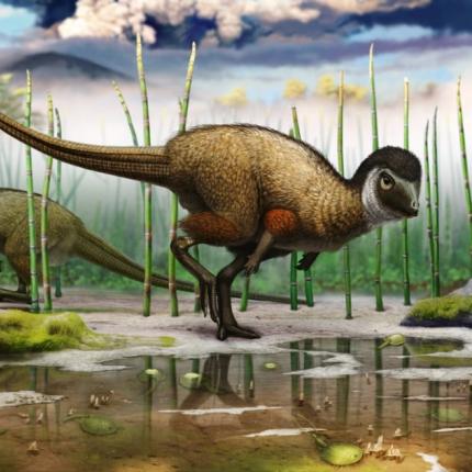 Είχαν φτερά και πούπουλα οι...  δεινόσαυροι; 